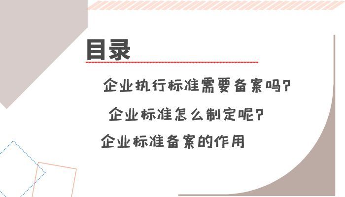 企业执行标准需要备案吗？企业标准不备案可以吗？