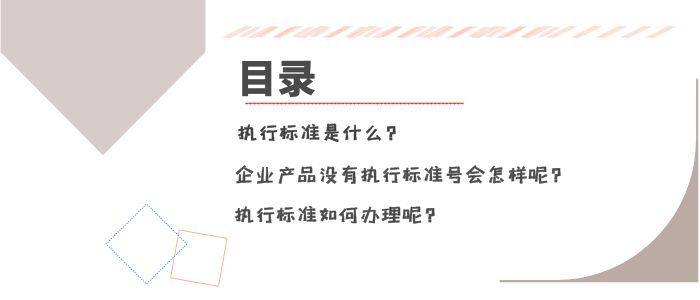 执行标准是什么呢？如何办理执行标准呢？